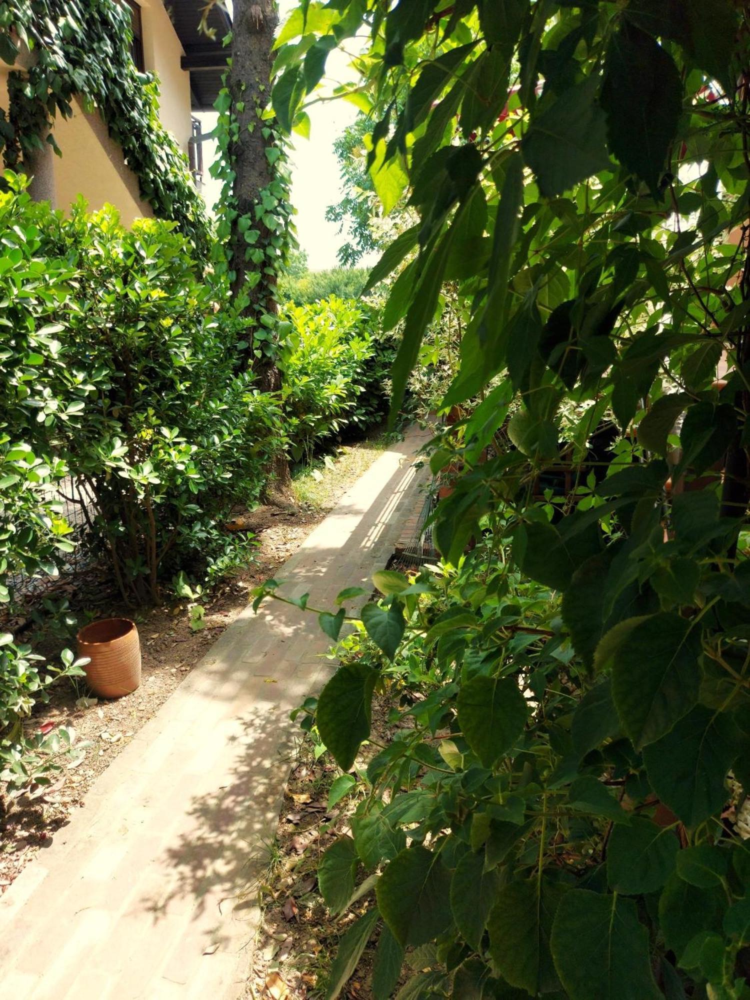 Eden Apartment Sveta Nedjelja  Exteriér fotografie